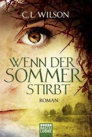 eBook Cover von "Wenn der Sommer stirbt"